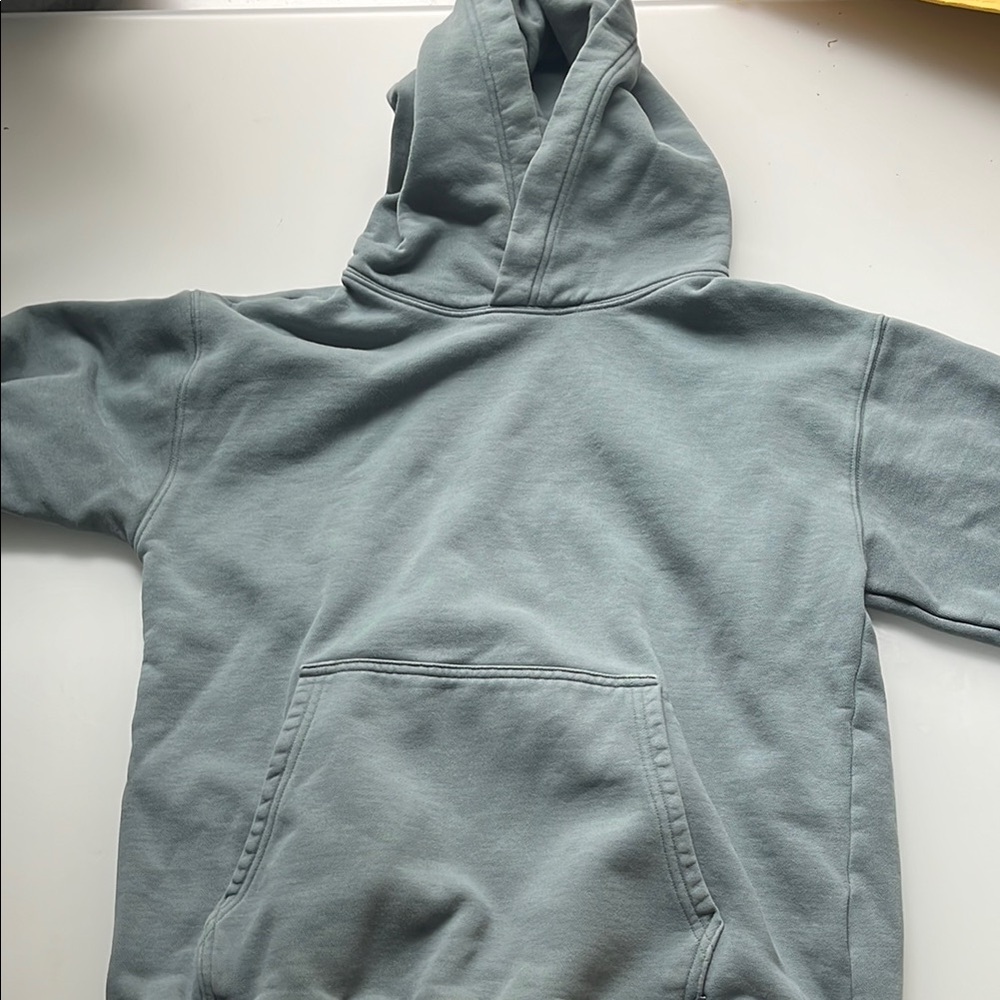 Aritzia TNA Perfect Hoodie